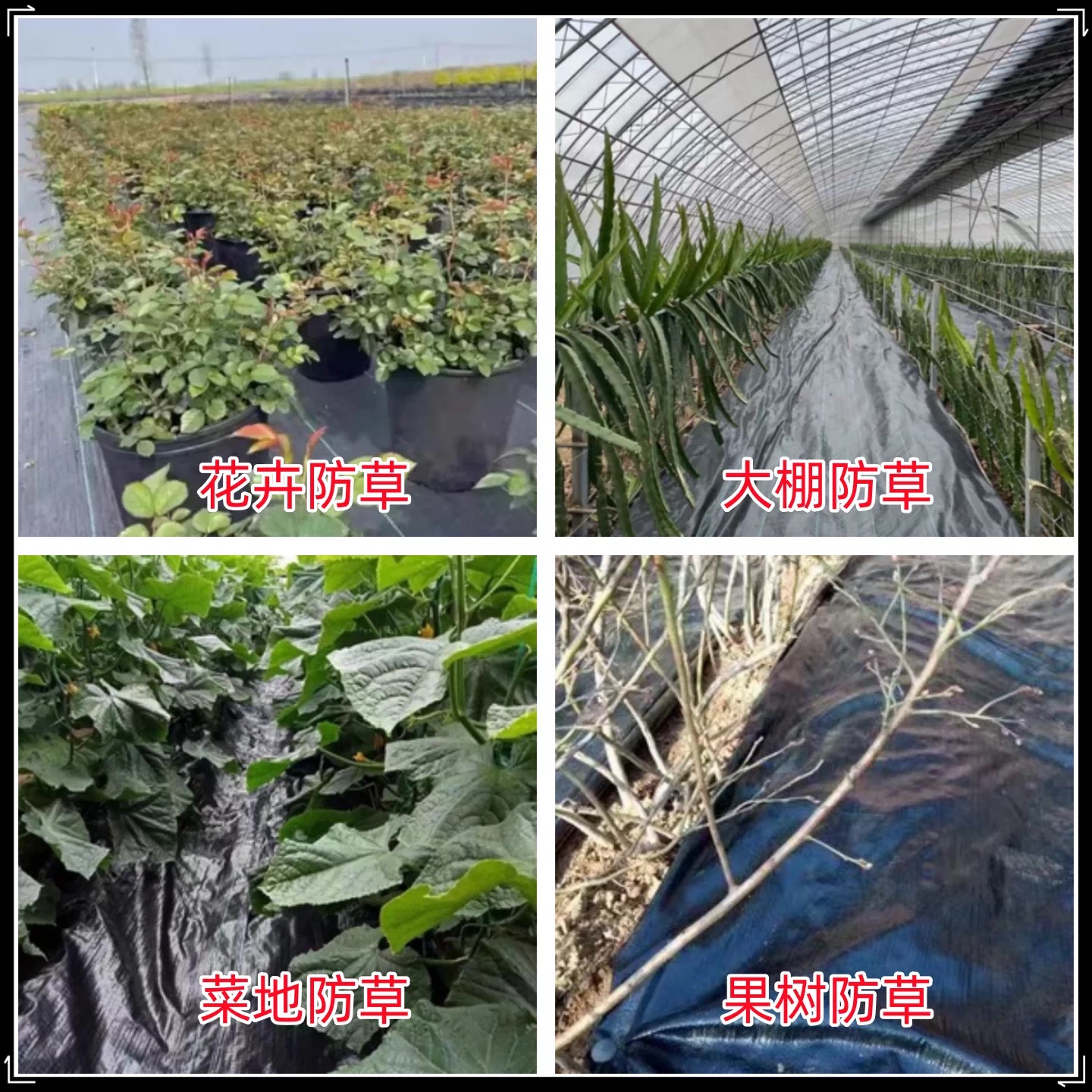 铜陵市工程膜防草布 - 价格