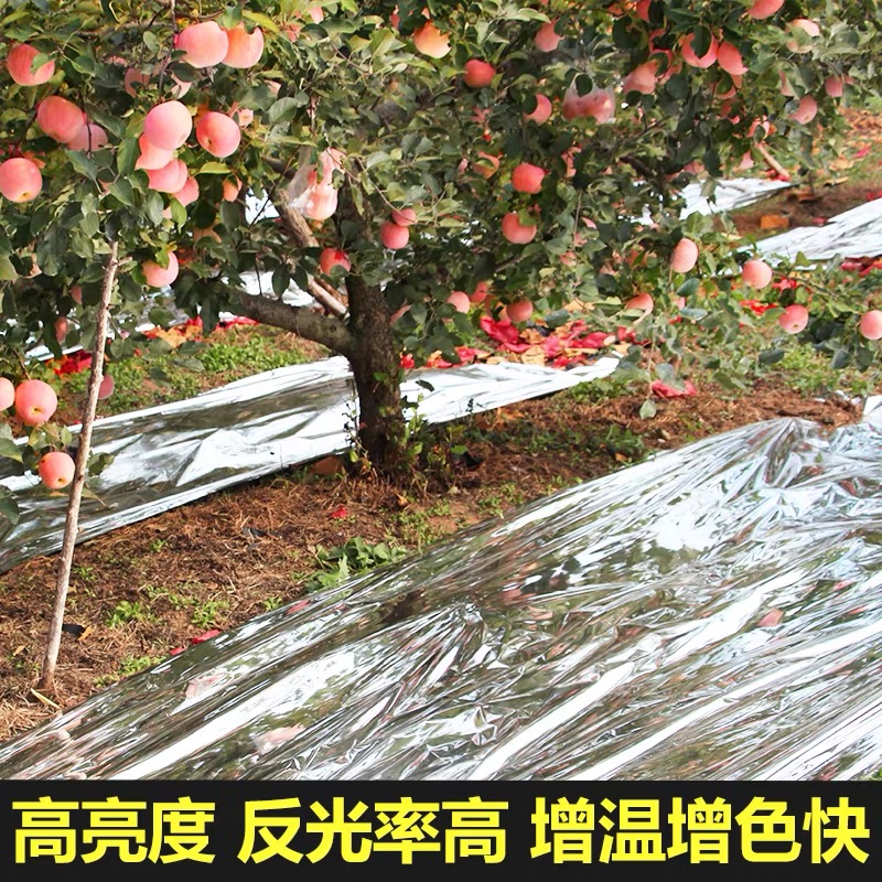 铜陵市农用薄膜果树反光膜 - 排名